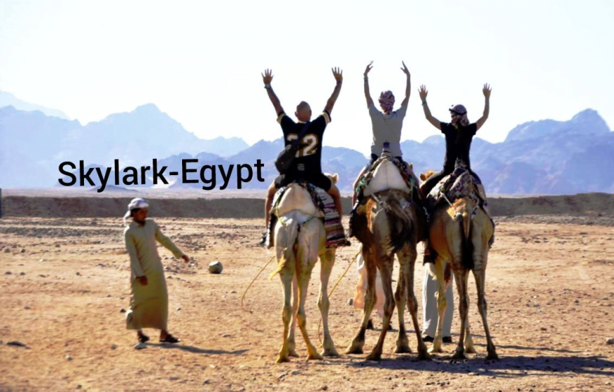 Super safari from Hurghada