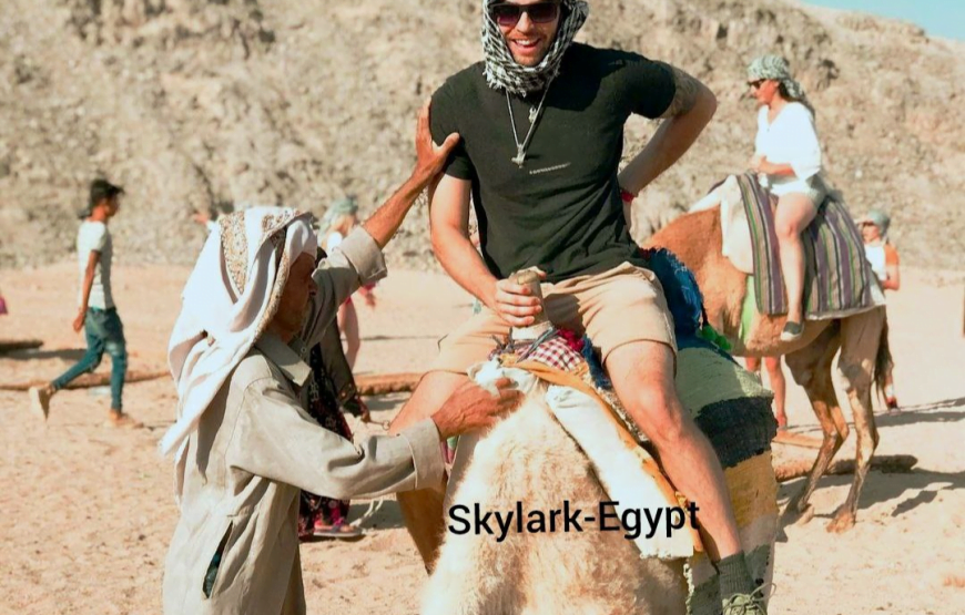 Jeep Safari from Hurghada