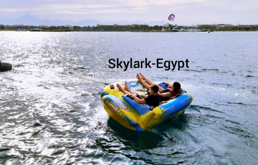Dolphin House in Hurghada (Dolphin Cove)