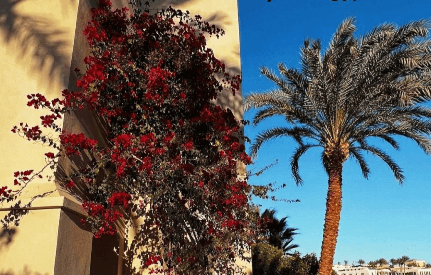 Excursion to El Gouna from Hurghada