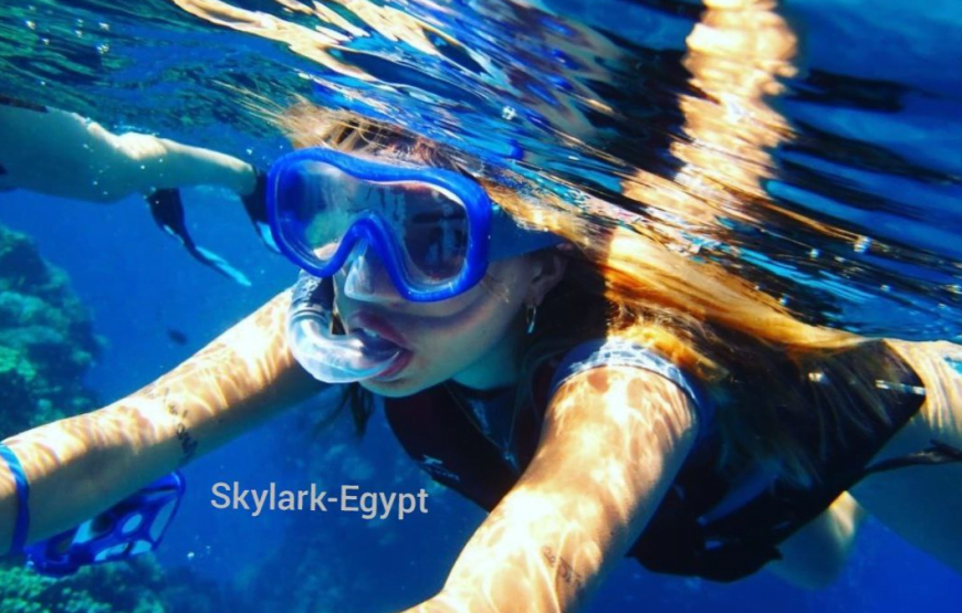 Dolphin House in Hurghada (Dolphin Cove)
