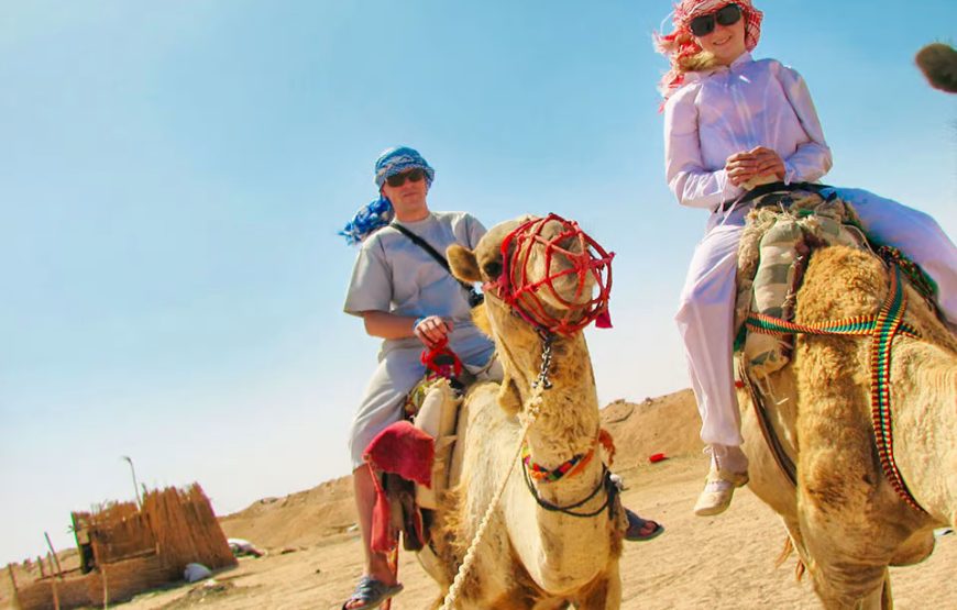 Safari in Egypt from Sharm el Sheikh